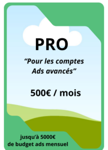 tarif google ads plan pro