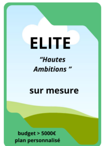 tarif google ads plan elite