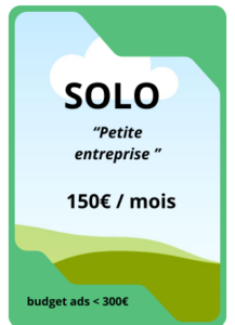 tarif google ads plan solo