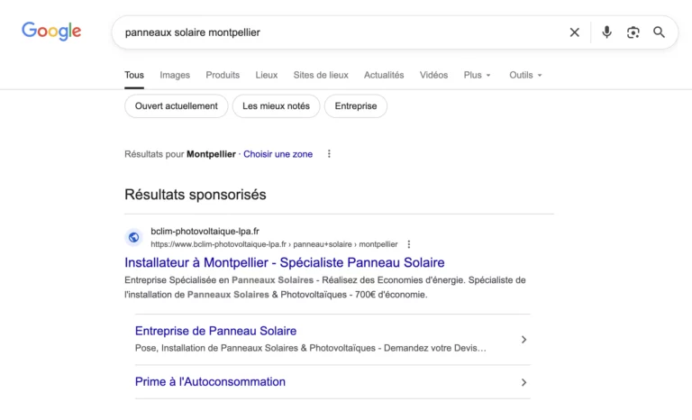 campagne recherche google ads